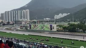 香港跑马场：历史悠久的赛马文化体验