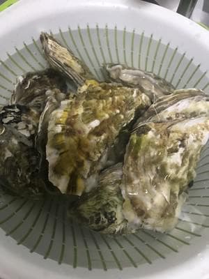 蒜蓉粉丝蒸生蚝详细步骤食谱大全和做法