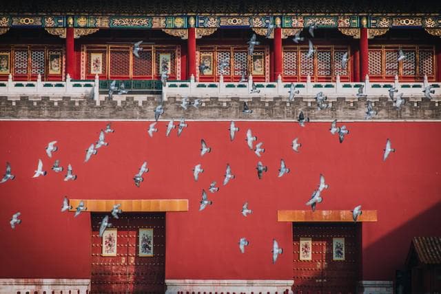 取消中国高考，是好是坏？