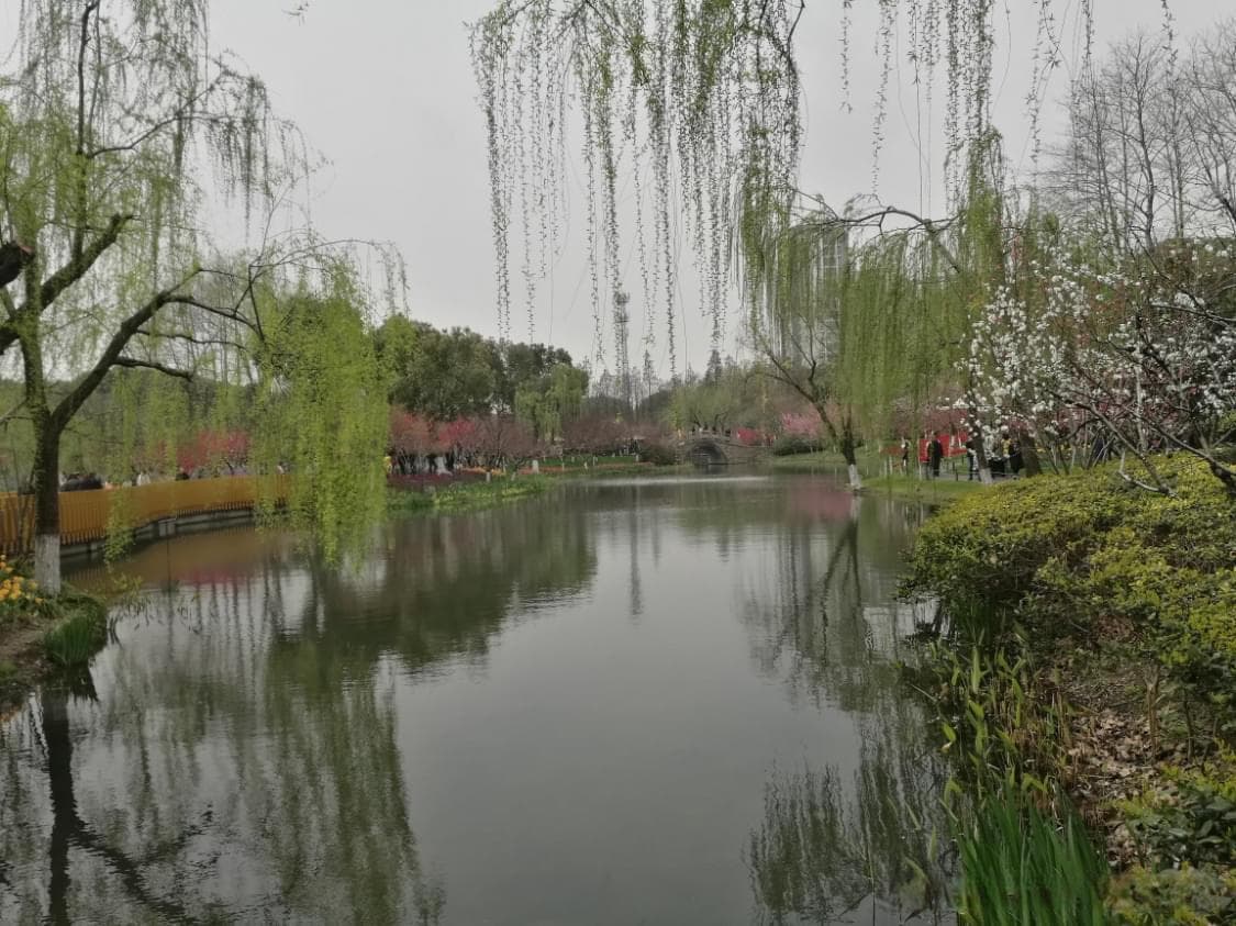 穿越千年，探寻圩墩遗址公园的文化与自然之美