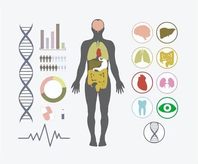 人体本质来讲就是由一堆原子构成的，人的思想和意识又是什么？
