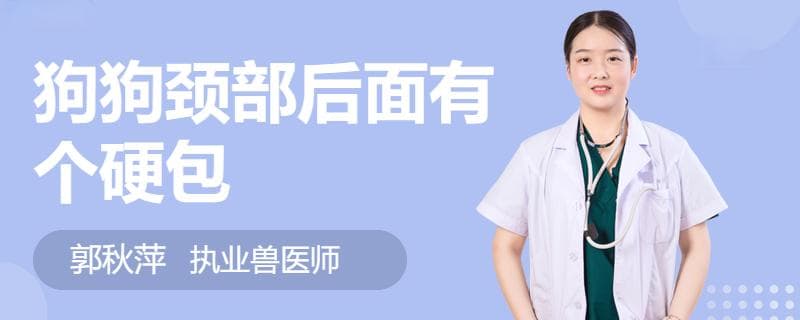 狗狗颈部后面有个硬包？可能是这些原因导致