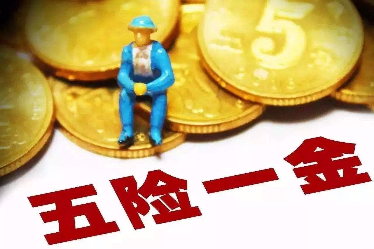 揭秘：税前6500扣除五险一金和个税后净收入究竟是多少？