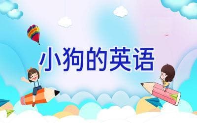 狗狗英语大集合：从品种到行为的全面表达