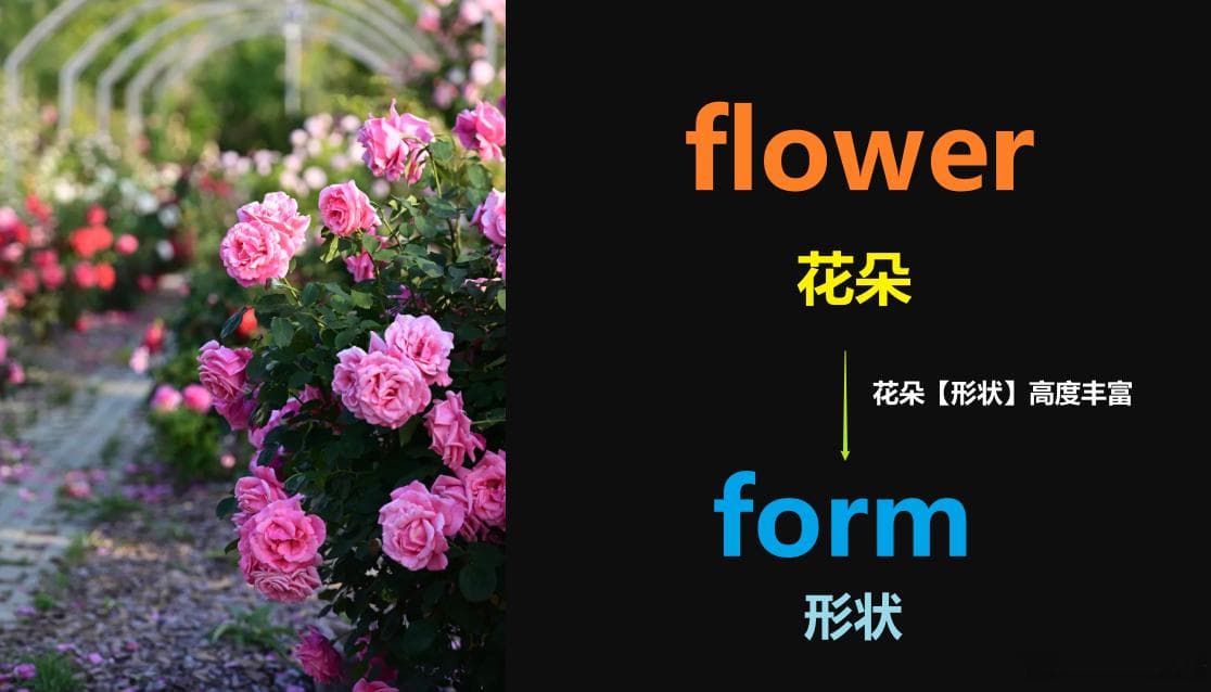 form这个单词怎么解或怎么记？