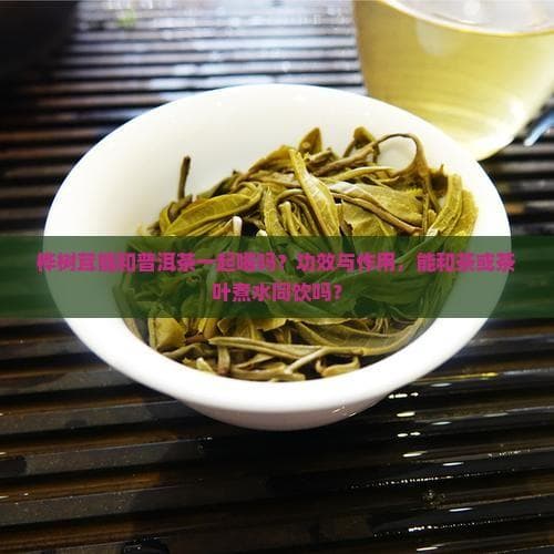 桦树茸能和普洱茶一起喝吗？功效与作用，能和茶或茶叶煮水同饮吗？