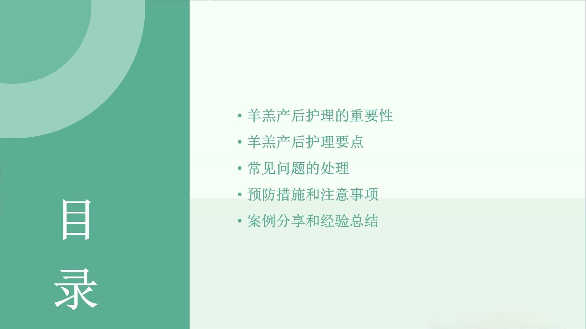 羊羔产后的护理