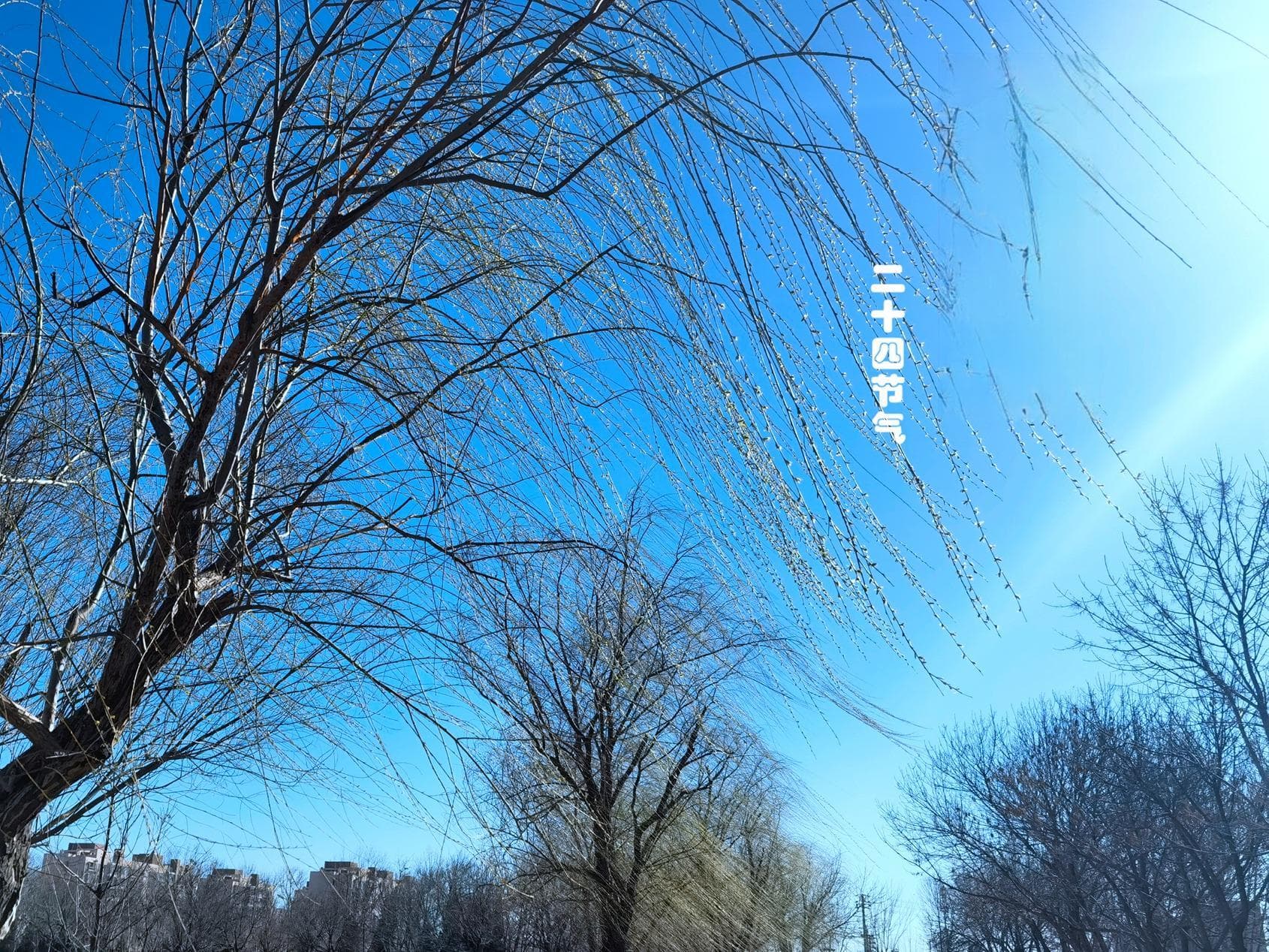 立春节气的传统习俗：吃4样、做1事，传承千年的文化记忆