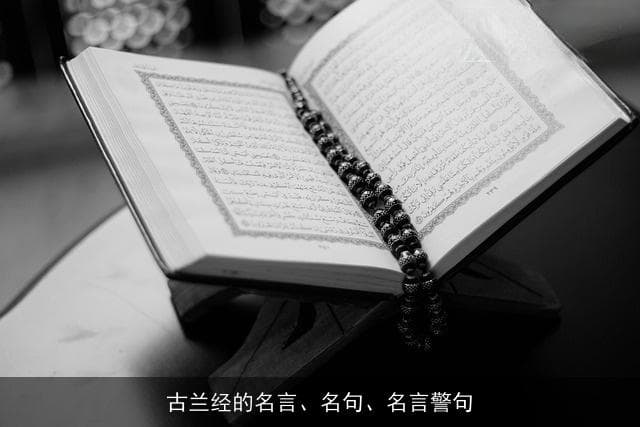 古兰经的名言、名句、名言警句