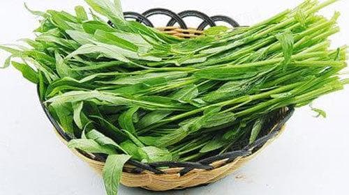 空心菜的营养价值