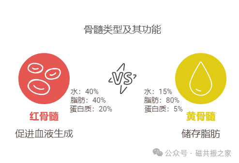 避开误诊！骨质MRI信号差异的三大元凶：技术误差、年龄变化、病理信号！