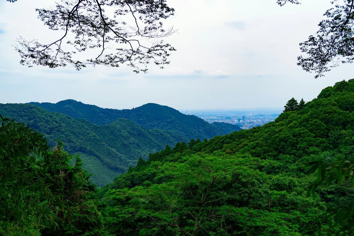 岳麓山：打卡网红景点，感受湖湘文化魅力