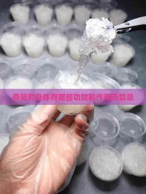 燕窝对身体有哪些功效和作用及禁忌
