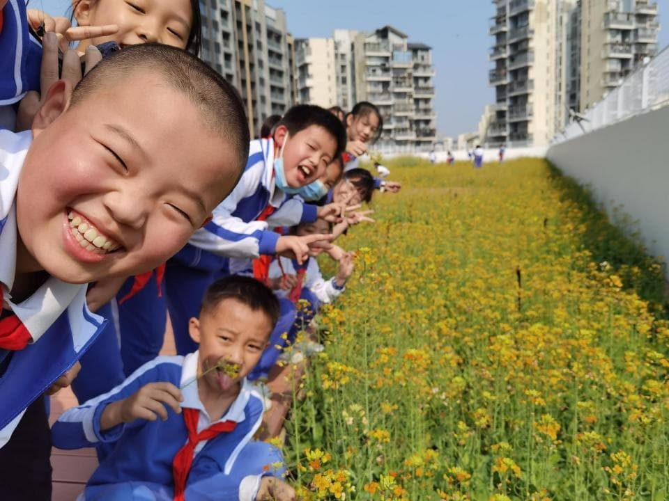 深圳各校创新劳动教育模式，打造多彩实践课程