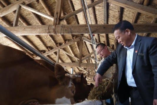 耿建国：乡村振兴路上的“领头雁”，以热血铸就金融扶贫新篇章