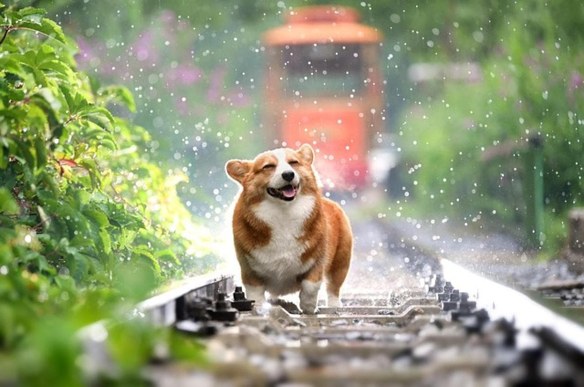 2025年属狗的人在财运上应该注意什么？