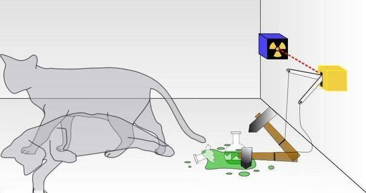 深度长文：解读“薛定谔的猫”，一只“既死又活”的猫（5000字）