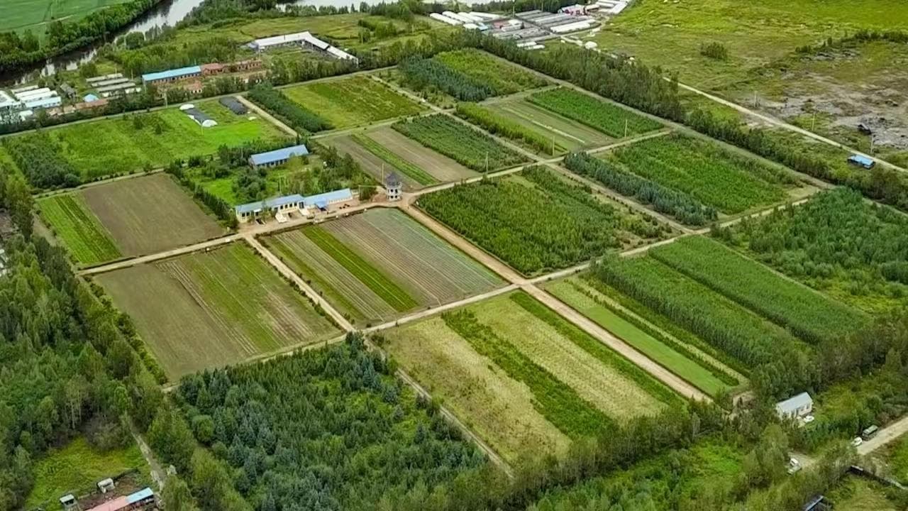 大兴安岭图强林业局：以"林长制"守护生态"高颜值"