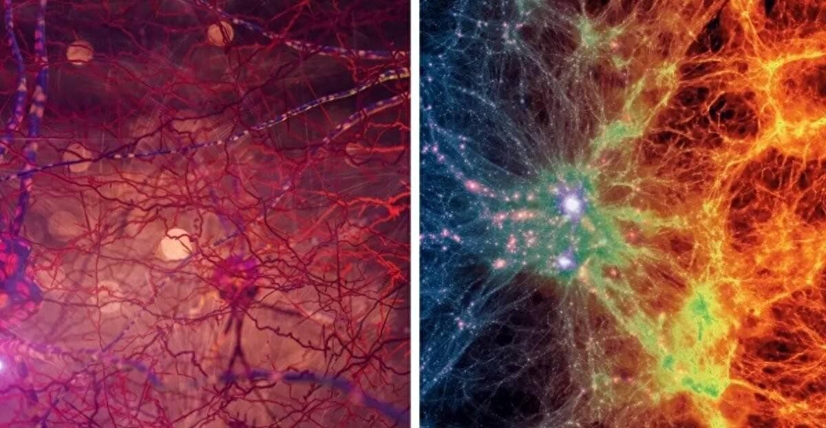 宇宙结构与人脑到底有多相似？科学家对比后，直呼宇宙不可思议