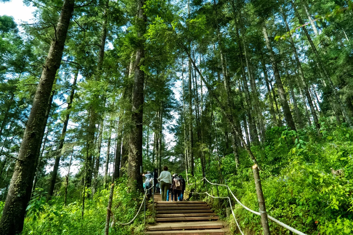 黄山阿洁带你玩转安徽深度游