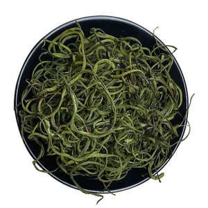 化石草的功效与作用