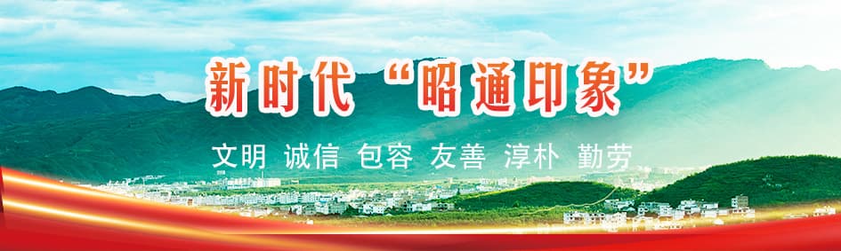 盐津推动油菜产业高质量发展