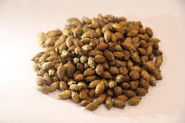 中药怎么熬？教你煎煮的基本知识