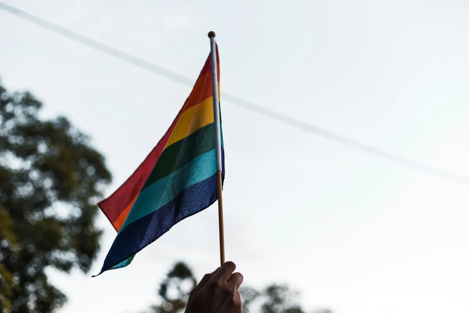 从金星事件看LGBTQ+：社会认知的升级与挑战