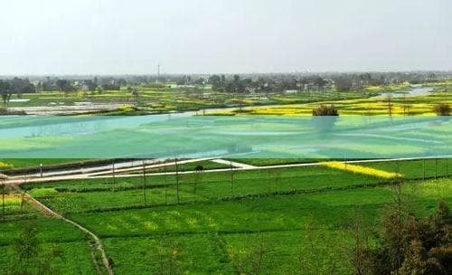 春游大理：从洱海到古城，感受白族风情