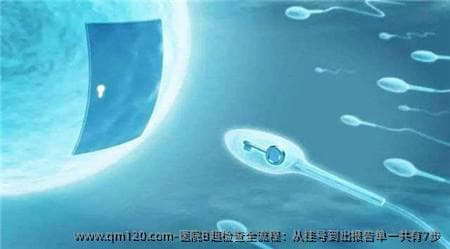 医院B超检查全流程：从挂号到出报告单一共有7步