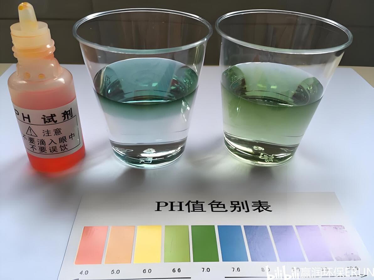 水pH值的秘密：如何通过光合作用和呼吸作用影响水质？