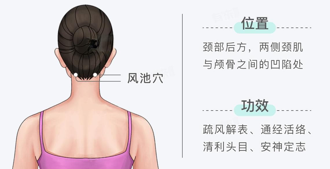 天柱与风池的准确位置和作用