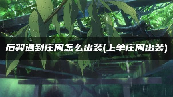 后羿遇到庄周怎么出装？上单庄周出装攻略