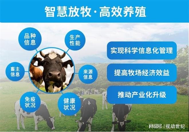 智慧畜牧业：精准营养与投喂，优化动物生长性能