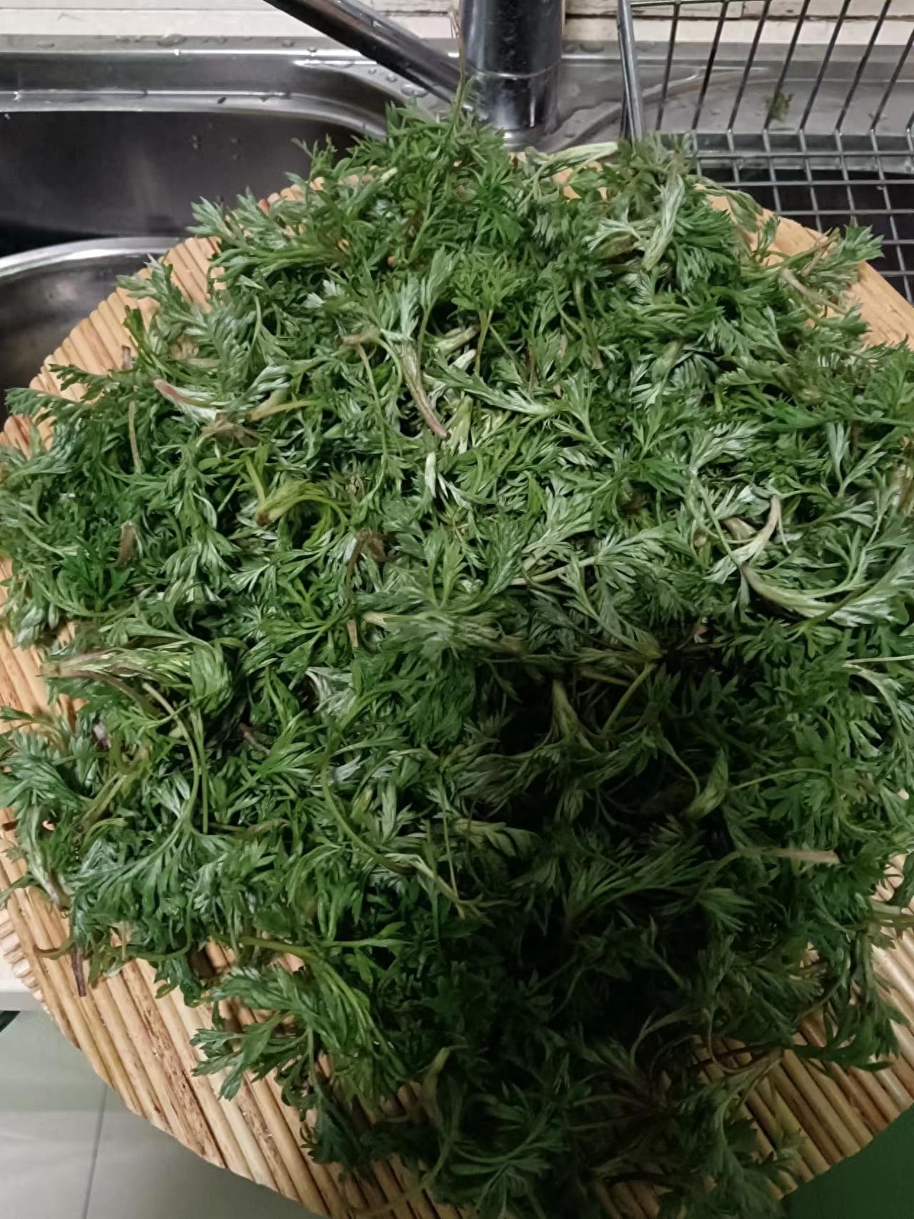 自制茵陈茶