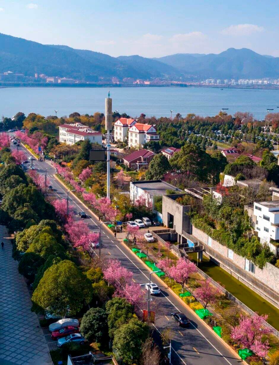 南方周末：昆明——没有夏天的城市，没有安放生活的阻力