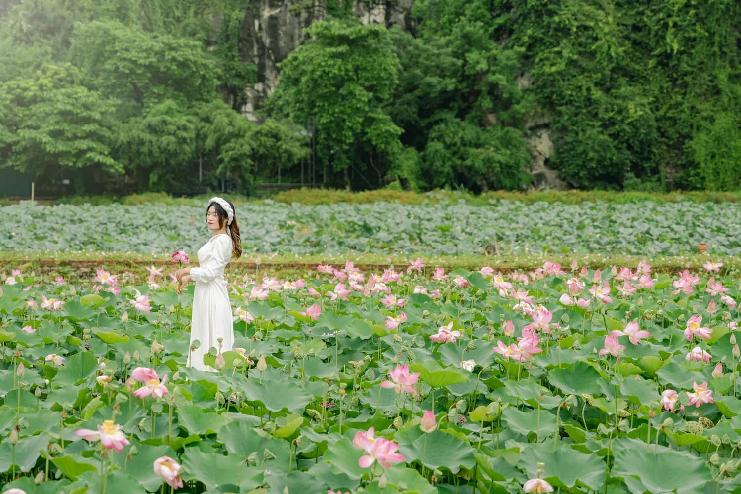 《莲花楼》原著VS剧版：谁才是真正的江湖？