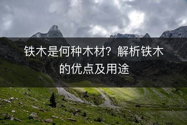 铁木是何种木材？解析铁木的优点及用途