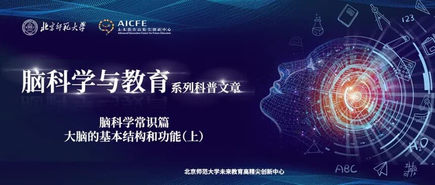 脑科学常识篇：大脑的基本结构和功能（上）