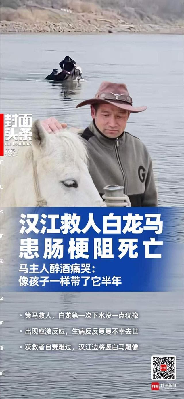 救人"白龙马"病重去世 主人酒后痛哭：待它像孩子一样