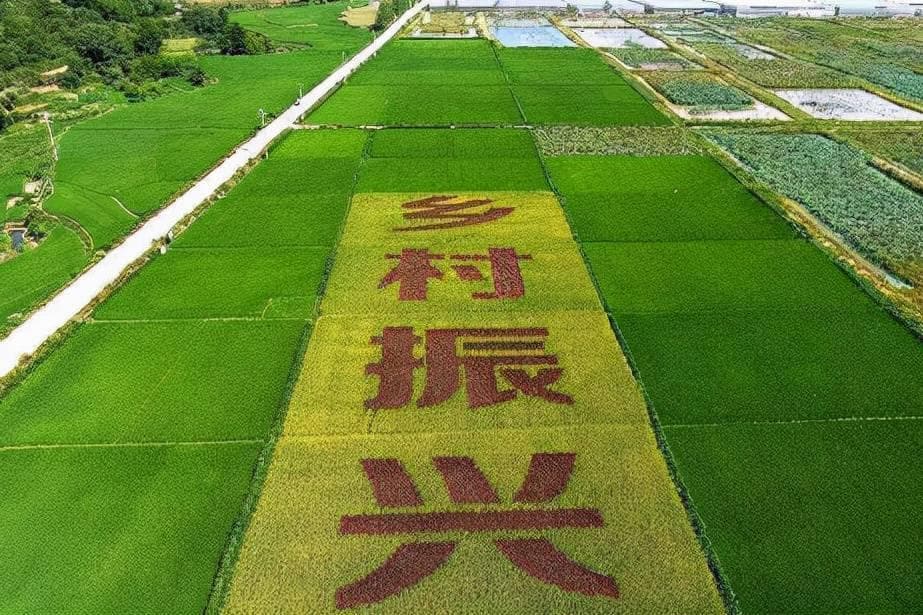 乡村振兴的品牌建设：打造农业品牌，提升农产品附加值，实现美丽乡村经济繁荣