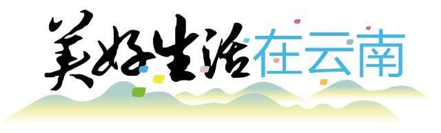 云南保山昌宁：折耳根的十种美味吃法