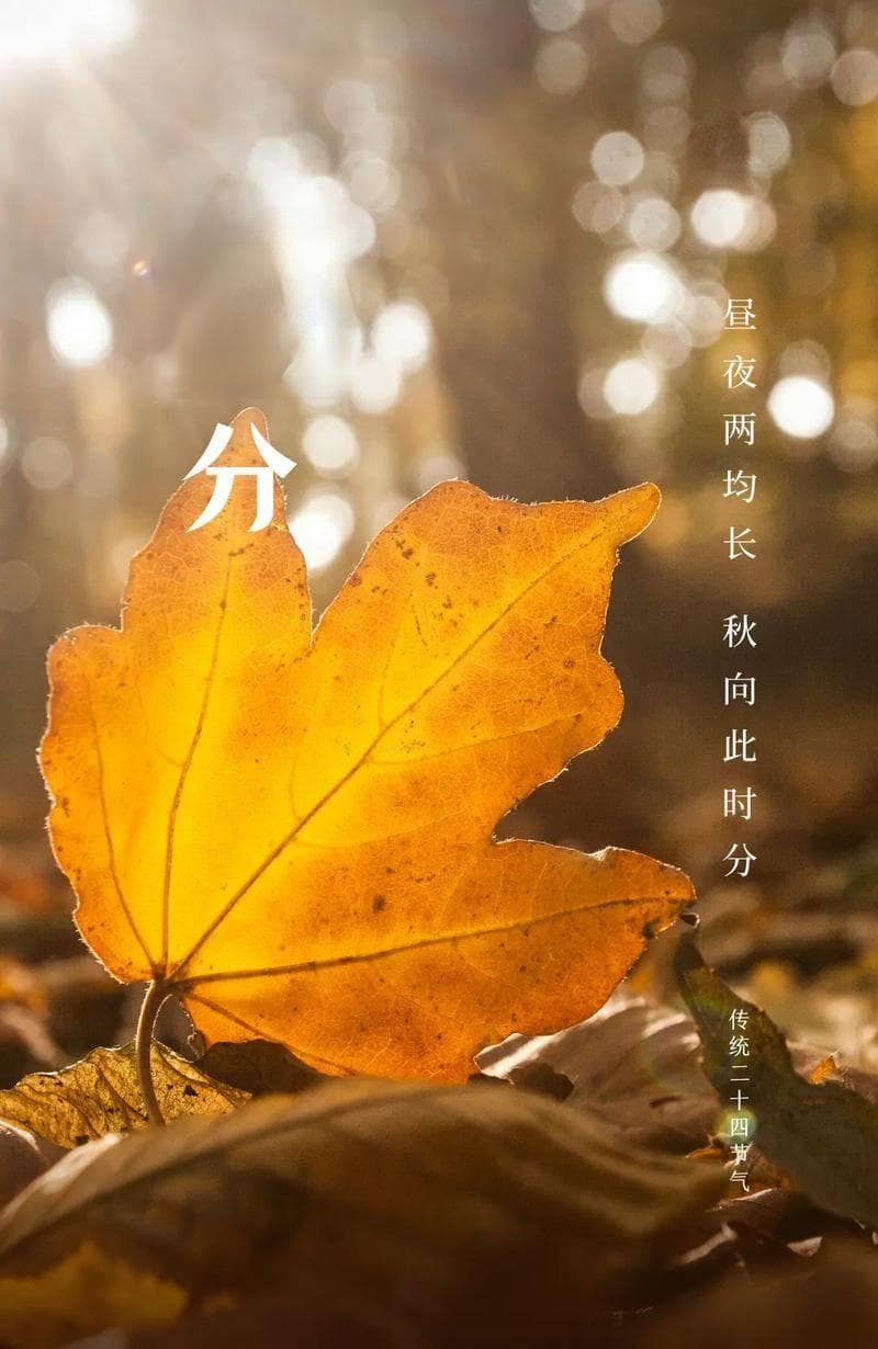 秋分“平分秋色”：解读中国传统文化中的平衡智慧