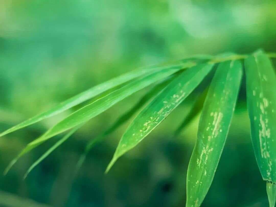 哲学知识——亚里士多德提出的蜡块说