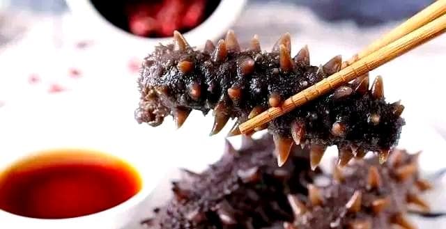 海参蛋白质解析：从成分到作用全了解
