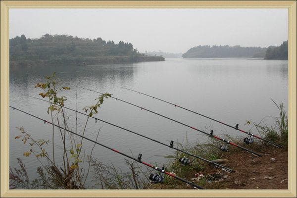 普通海竿、矶钓竿和远投竿有什么本质上的区别？