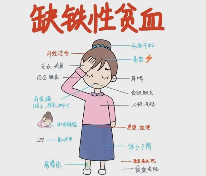 孕期缺铁性贫血有哪些危害？怎么正确补血补铁？