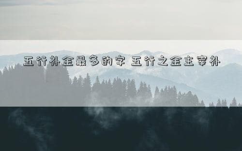 五行补金最多的字 五行之金主宰补充最多