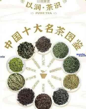 中国的茶叶主要分为哪些种，探秘中国茶文化：了解主要茶叶种类