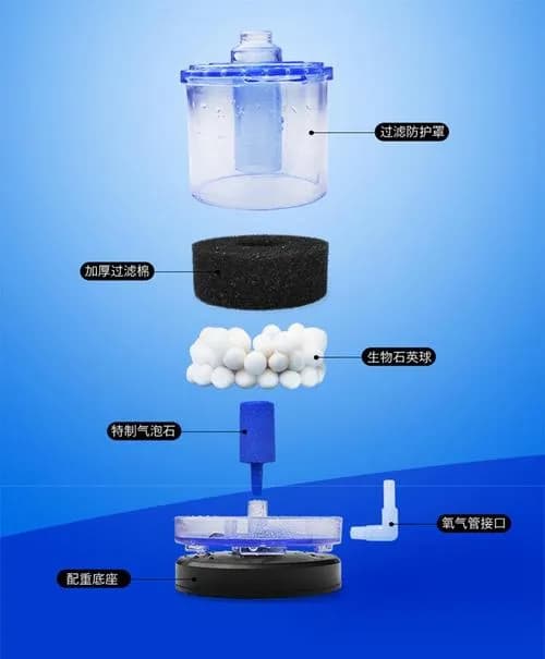 水妖精在水族箱中的作用与使用方法